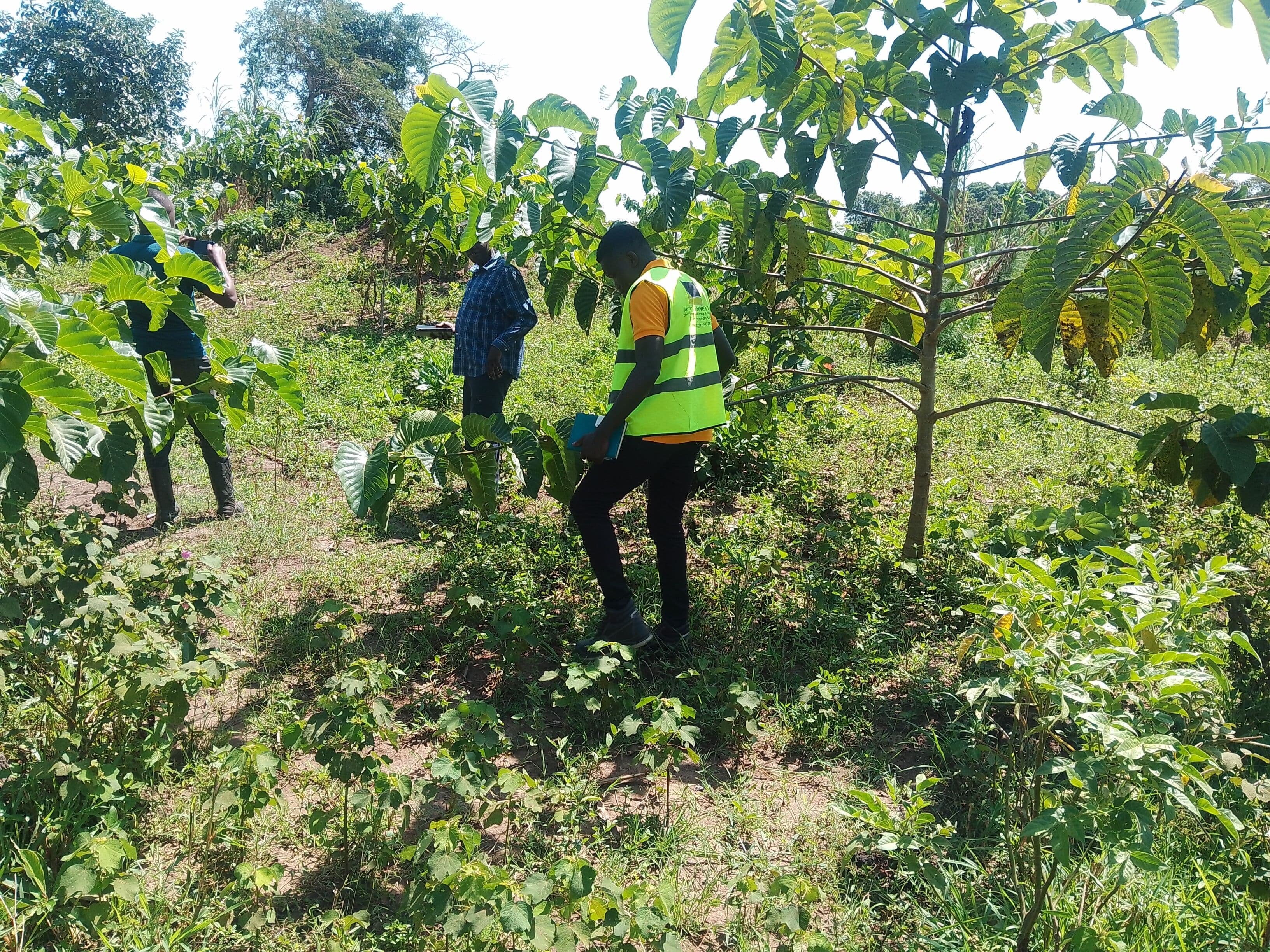 Environment & Sustainability (ES)